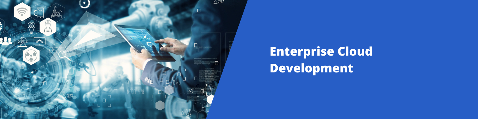 Enterprise Cloud Development